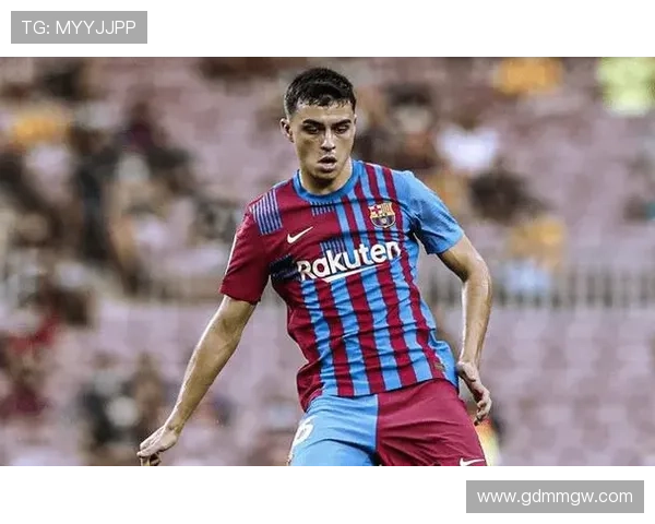 卢顿俱乐部宣布新赛季目标及阵容调整 加强防线争取更好排名