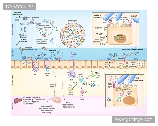 基于LPLS3L基因突变研究的遗传机制及其在疾病中的潜在作用