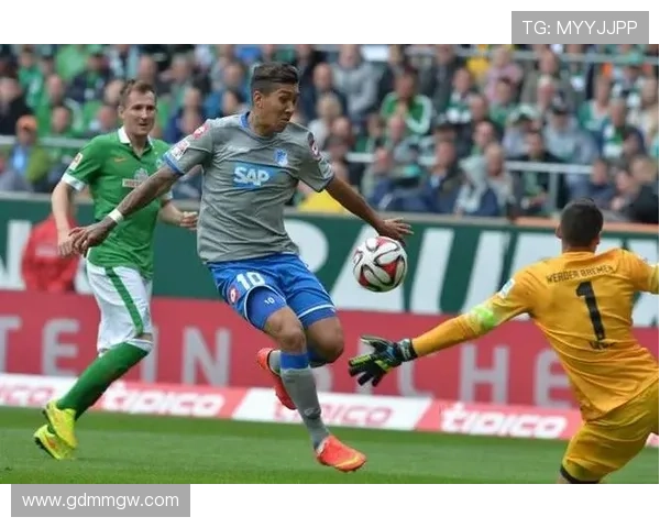 德甲球赛门票购买指南如何轻松获取心仪座位