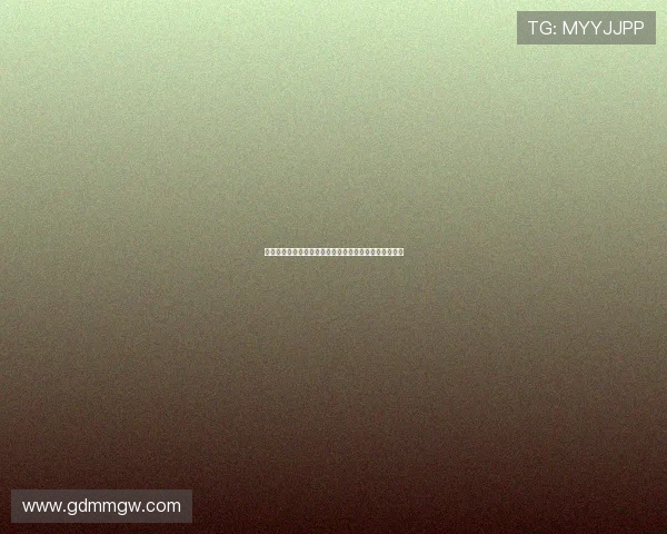 拜耳勒沃库森崛起之路探秘德国足球新势力的荣耀与挑战