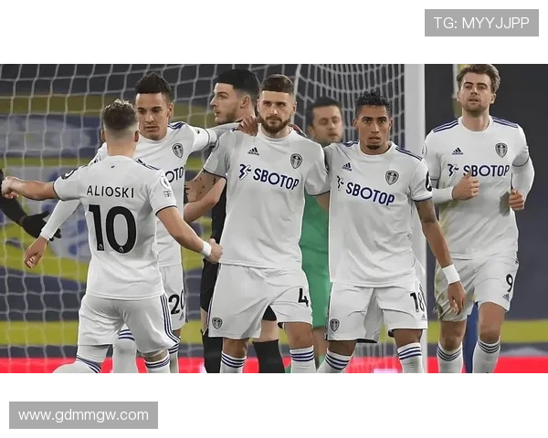 米德尔斯堡俱乐部发展历程与英格兰足球文化的深刻联系探讨