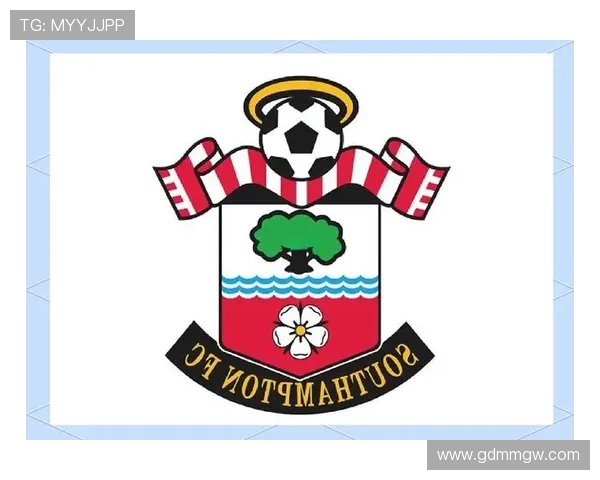 南安普顿足球俱乐部历史辉煌与挑战并存的崛起之路 南安普顿足球俱乐部历史辉煌与挑战并存的崛起之路