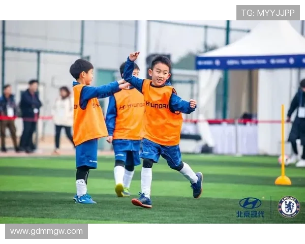 聚焦朴茨茅斯俱乐部的历史传承与现代足球文化探秘全景之旅观察录