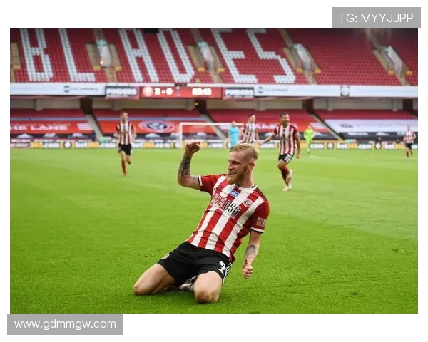 谢菲尔德联崛起之路与城市足球文化传承发展全景深度探秘纪实录篇